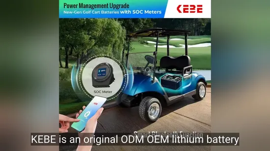 Batteria al litio a ciclo profondo/Batteria agli ioni di litio/Batteria LiFePO4 per carrello elevatore elettrico/camion 48 V 500 Ah