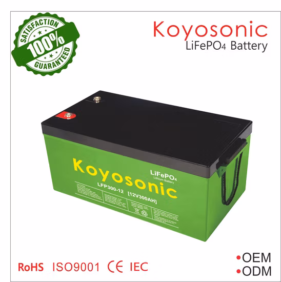 Rack per batterie al litio da 48 V 50 Ah 100 Ah 200 Ah Tesla Batteria 51,2 V LiFePO4 Batteria agli ioni di litio da 2,5 kWh 5 kWh 10 kWh 15 kWh Batteria per accumulo domestico agli ioni di litio UPS per telecomunicazioni