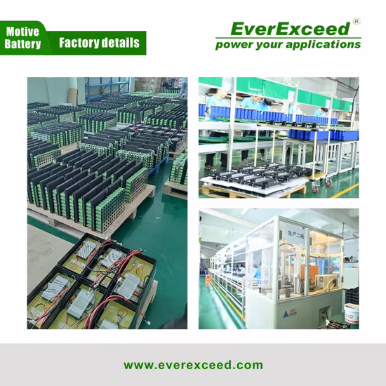 Batteria per auto strumento per veicolo elettrico nuova energia per triciclo elettrico 48V/60ah