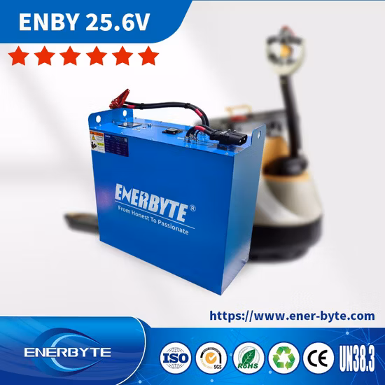 Batteria LiFePO4 da 24 V 200 Ah/Batteria al litio per carrello elevatore elettrico con caricabatteria/Power Bank/Stracker/pezzi di ricambio per carrelli elevatori/ricambi auto