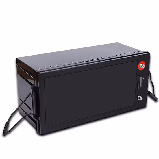 Batteria al litio 12V 24V 100ah 200ah 300ah 50ah 12V/24V LiFePO4 Batterie zum Solarfabrikpreis