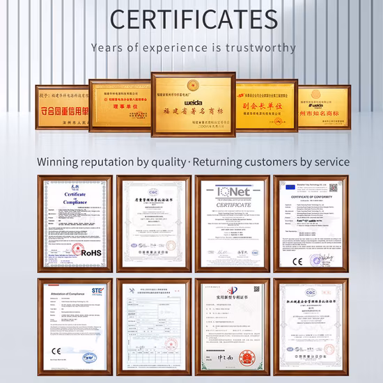 Weida 600W Alimentatore esterno Batteria portatile Pesca Luce di emergenza Emergenza Avvio automatico Batteria al litio LiFePO4