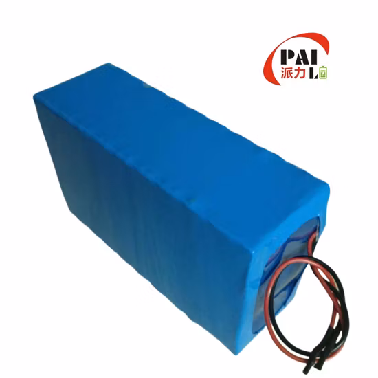 Batteria Bicicletta Elettrica Batteria agli Ioni di Litio 48V 50Ah Ricaricabile Personalizzabile