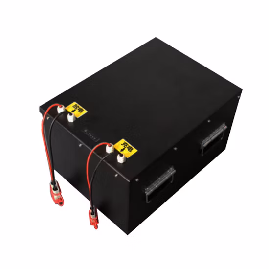 Moto/Citycoco Scooter Bici elettrica E-Bike 48V/60V/72V/96V 10Ah 12Ah 20Ah 40Ah 50Ah 60Ah 70Ah 80Ah 100Ah LiFePO4 Batteria agli ioni di litio Lipo-Li-Ion
