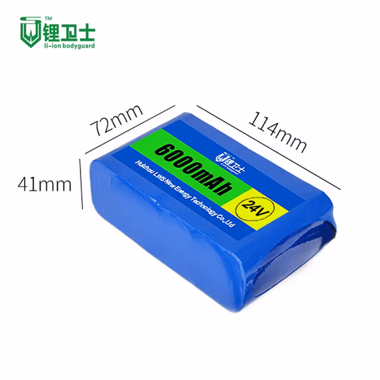 Batteria e-bike Lws litio ferro 24 V 8s1p 2000 mAh